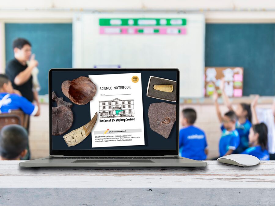 Virtual: Jurassic Classification: The Case of the Mystery Creature (KS2)