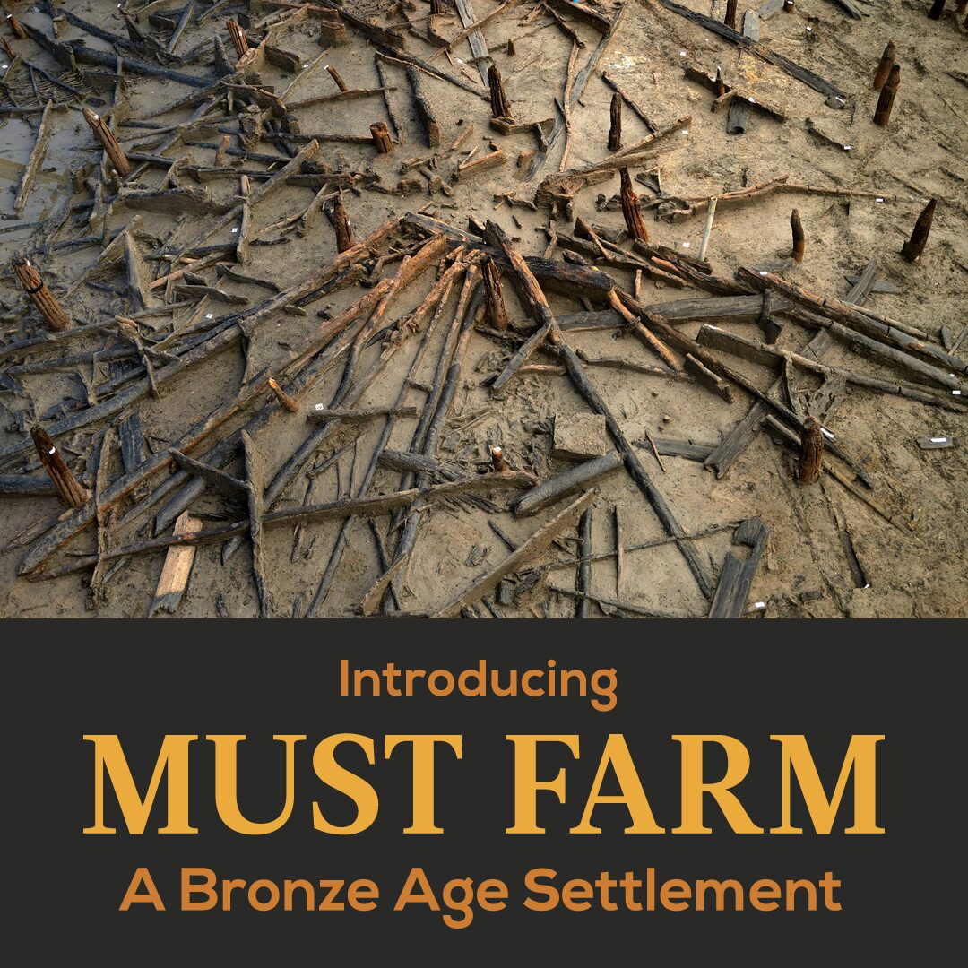 Exhibition: Introducing Must Farm, a Bronze Age Settlement